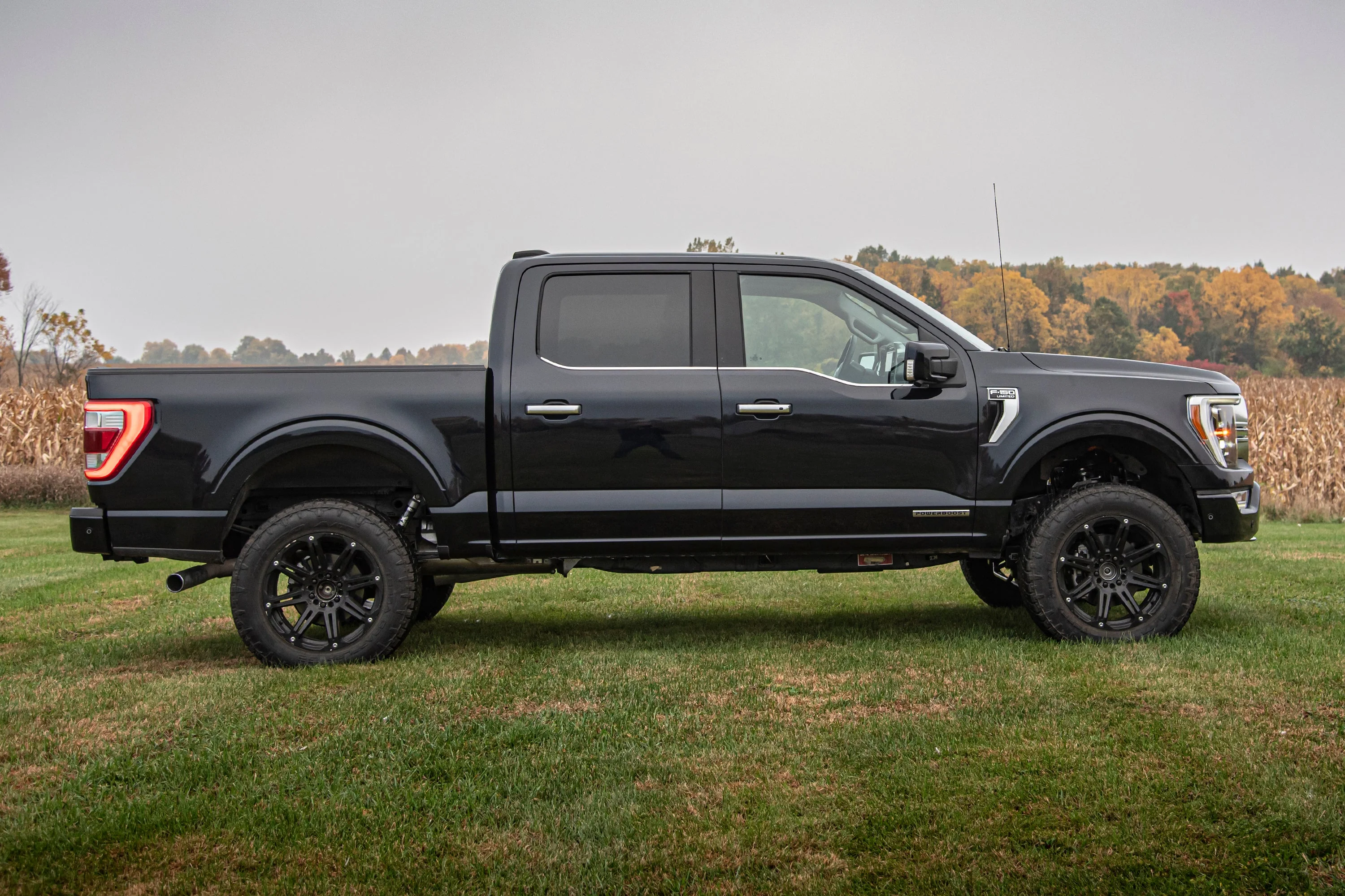 4 Inch Lift Kit | FOX 2.0 Strut | Ford F150 (21-25) 4WD - Image 2