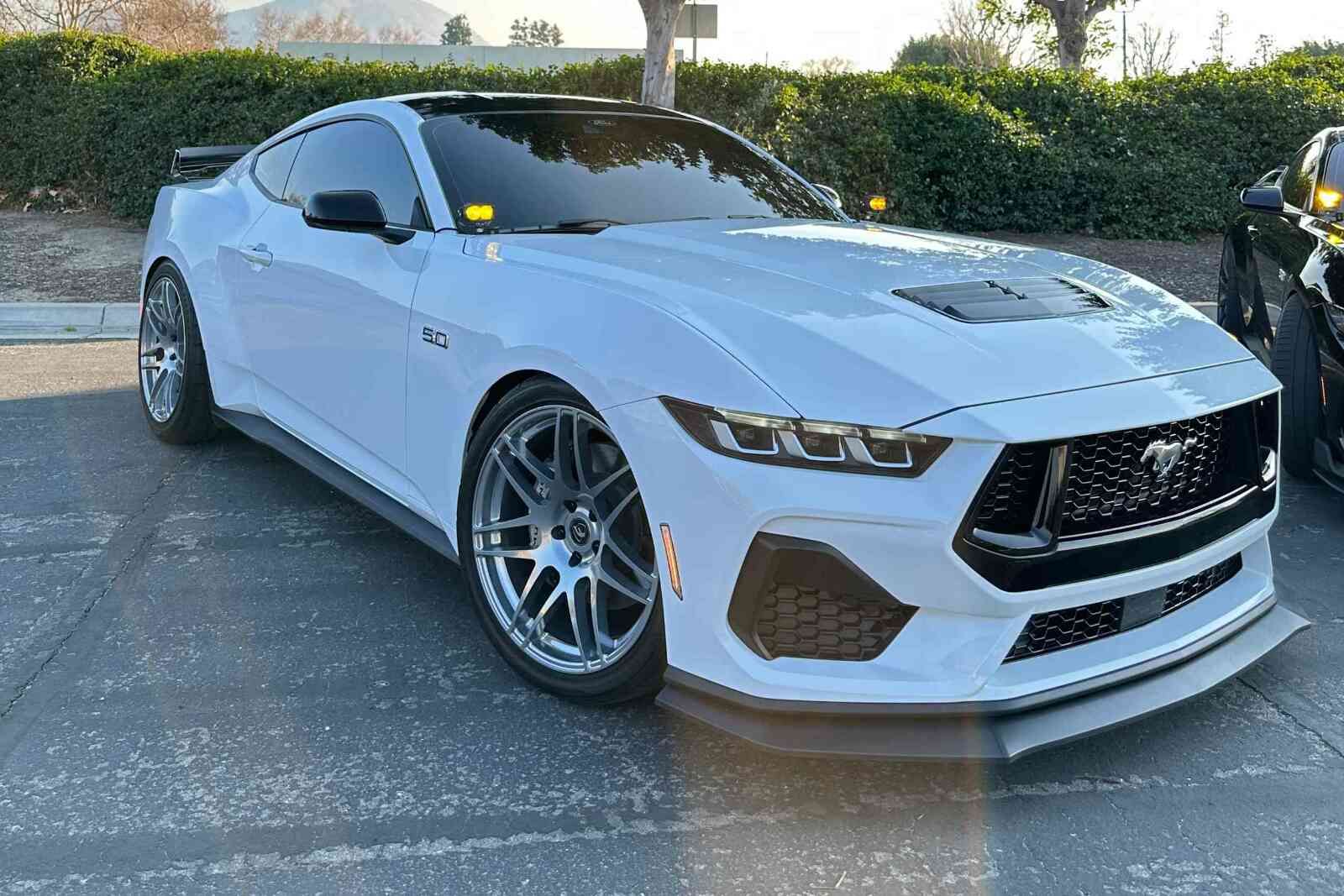 Morimoto 2Banger Drift Light Kit: 2024+ Ford Mustang (HXB Yellow Spot Beam) - Image 2