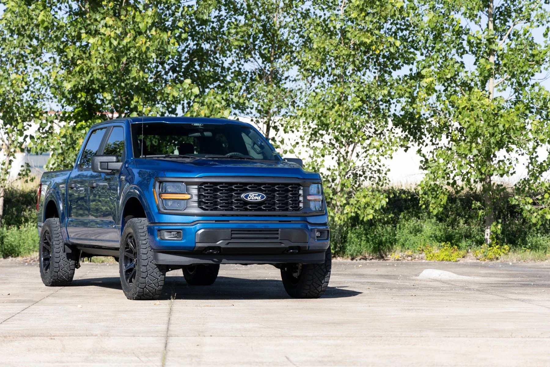 Rough Country 3 Inch Lift Kit Forged UCA M1/M1 for Ford F-150 4wd 21-26 - Image 3
