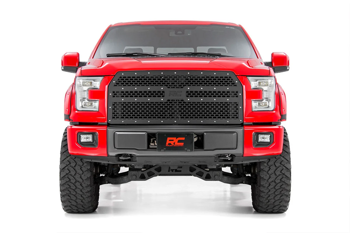 Ford Mesh Grille 15-17 F-150 70191 - Image 2