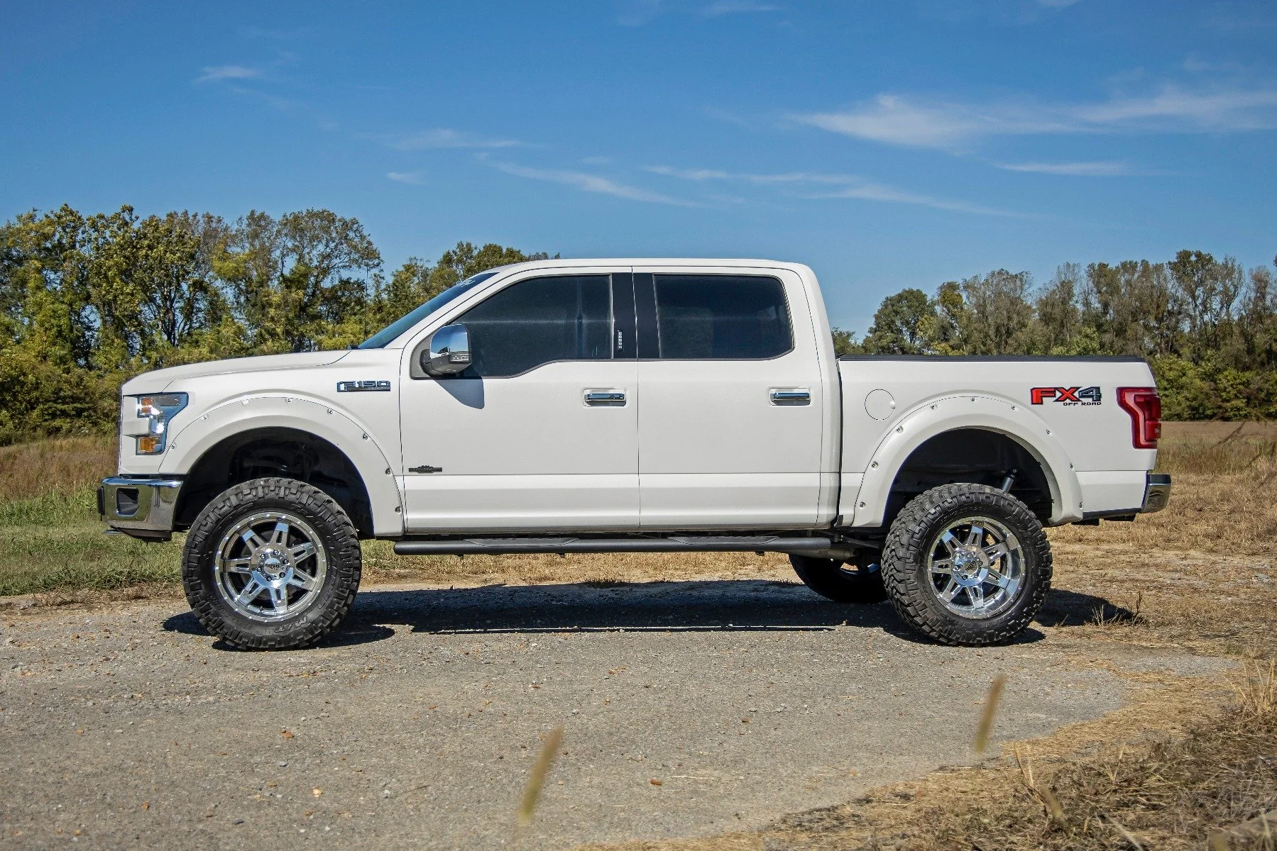 Ford Oval Nerf Step Bars 15-20 F-150 SuperCrew Cab 21005 - Image 3